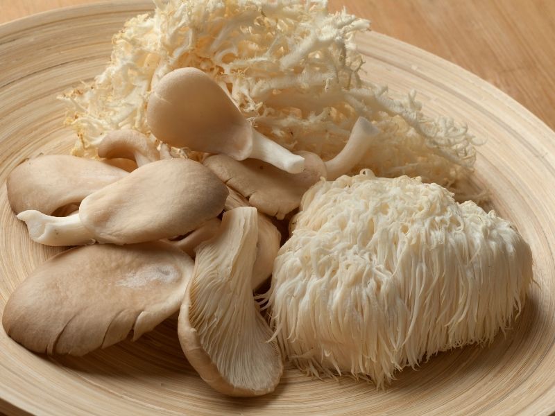 Lion's mane mushroom
