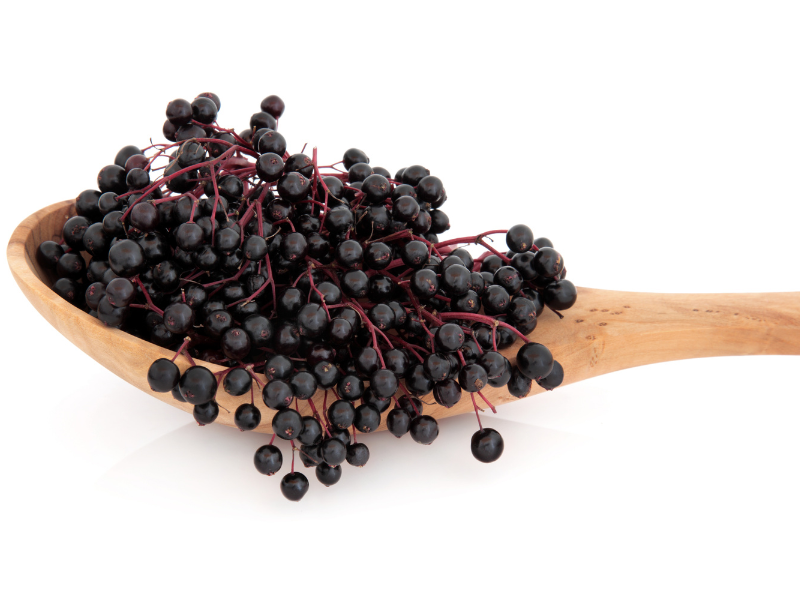 Does Elderberry Work for COVID-19? 